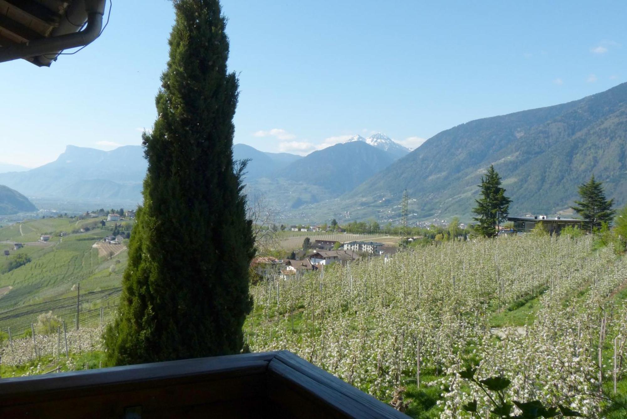 Garni Sonnleiten Tirolo Bagian luar foto